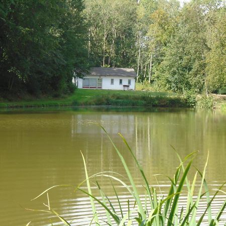 Deux Etangs Poissonneux Au Milieu Des Bois Avec Gite Moderne, La Halte Des Deux Lacs Rosee Exterior photo