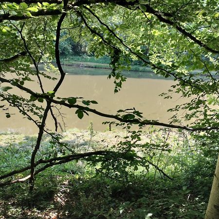 Deux Etangs Poissonneux Au Milieu Des Bois Avec Gite Moderne, La Halte Des Deux Lacs Rosee Exterior photo