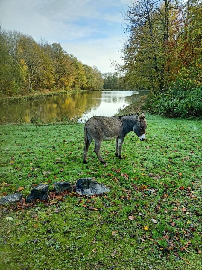 Deux Etangs Poissonneux Au Milieu Des Bois Avec Gite Moderne, La Halte Des Deux Lacs Rosee Exterior photo