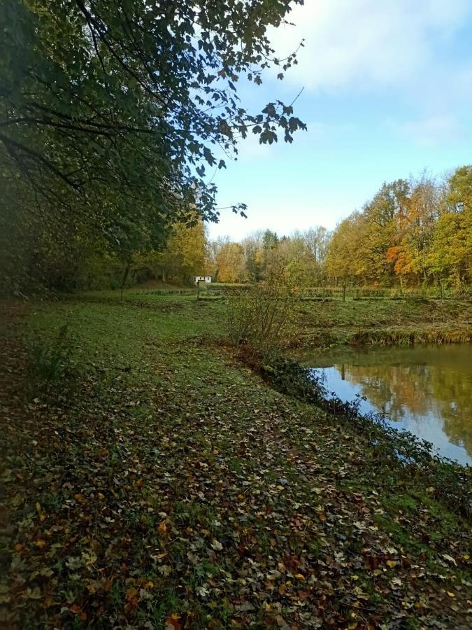 Deux Etangs Poissonneux Au Milieu Des Bois Avec Gite Moderne, La Halte Des Deux Lacs Rosee Exterior photo