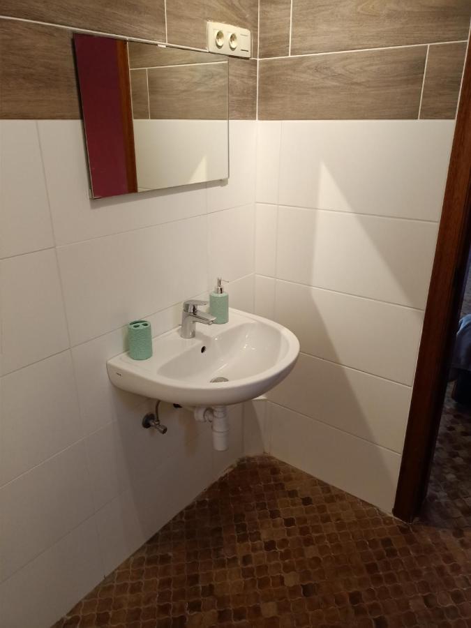 Deux Etangs Poissonneux Au Milieu Des Bois Avec Gite Moderne, La Halte Des Deux Lacs Rosee Exterior photo
