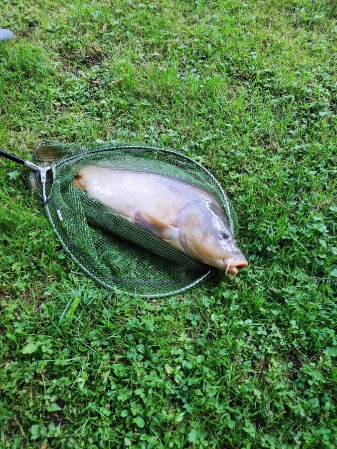 Deux Etangs Poissonneux Au Milieu Des Bois Avec Gite Moderne, La Halte Des Deux Lacs Rosee Exterior photo