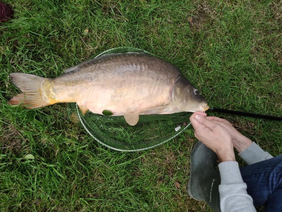 Deux Etangs Poissonneux Au Milieu Des Bois Avec Gite Moderne, La Halte Des Deux Lacs Rosee Exterior photo