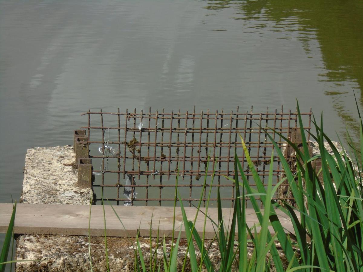 Deux Etangs Poissonneux Au Milieu Des Bois Avec Gite Moderne, La Halte Des Deux Lacs Rosee Exterior photo