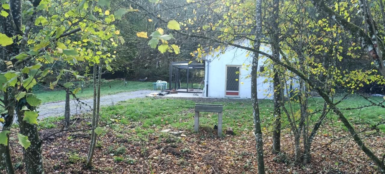 Deux Etangs Poissonneux Au Milieu Des Bois Avec Gite Moderne, La Halte Des Deux Lacs Rosee Exterior photo