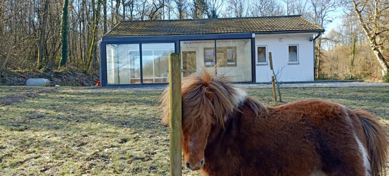Deux Etangs Poissonneux Au Milieu Des Bois Avec Gite Moderne, La Halte Des Deux Lacs Rosee Exterior photo