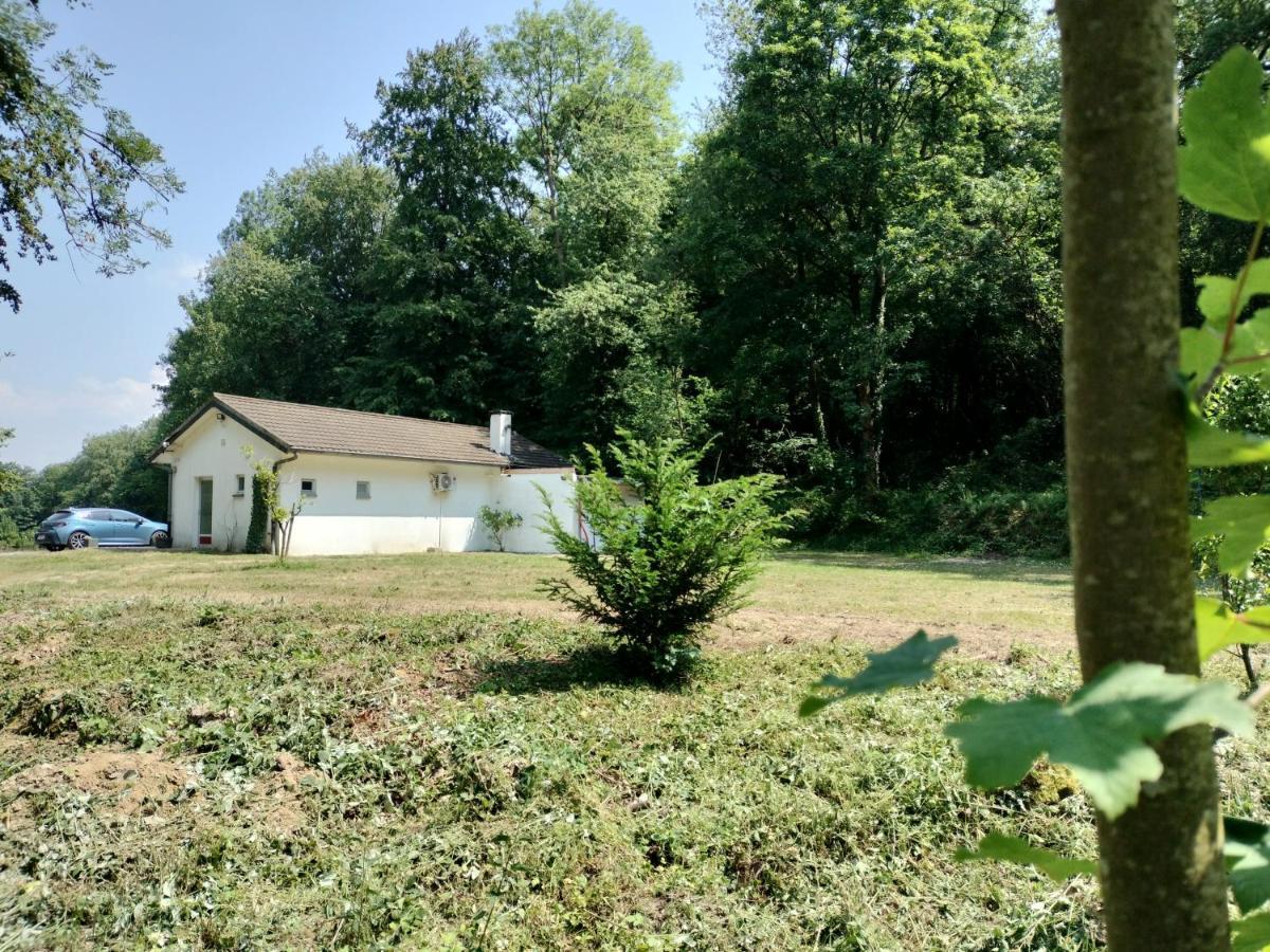 Deux Etangs Poissonneux Au Milieu Des Bois Avec Gite Moderne, La Halte Des Deux Lacs Rosee Exterior photo