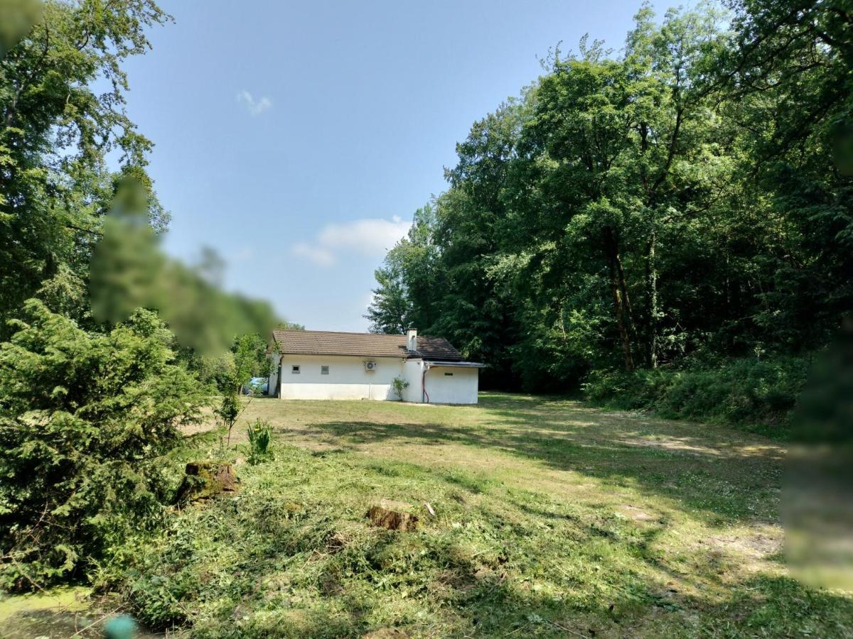 Deux Etangs Poissonneux Au Milieu Des Bois Avec Gite Moderne, La Halte Des Deux Lacs Rosee Exterior photo