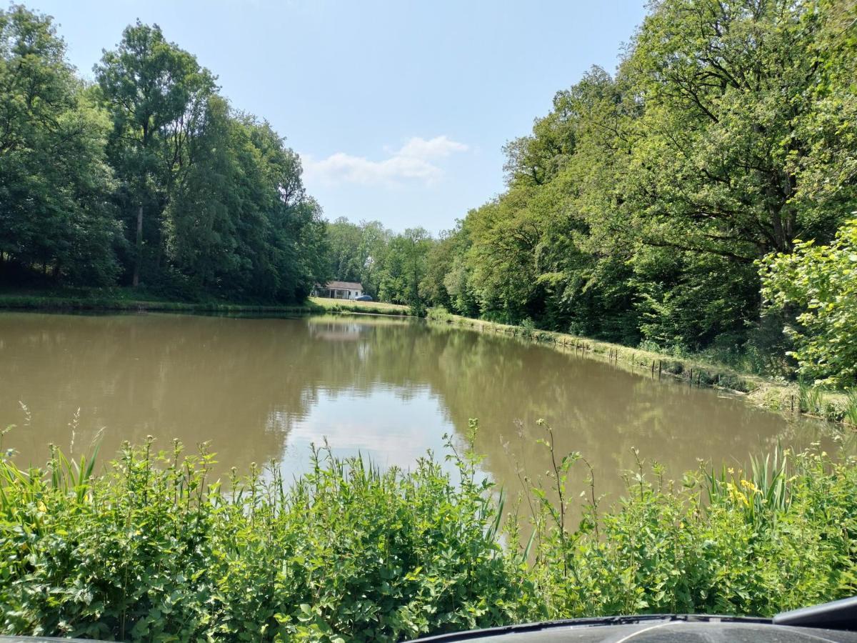 Deux Etangs Poissonneux Au Milieu Des Bois Avec Gite Moderne, La Halte Des Deux Lacs Rosee Exterior photo