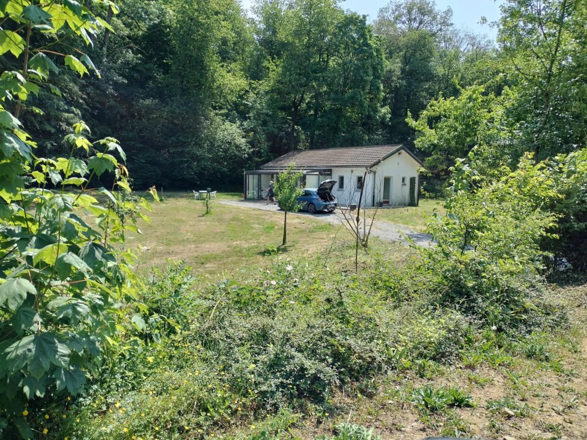 Deux Etangs Poissonneux Au Milieu Des Bois Avec Gite Moderne, La Halte Des Deux Lacs Rosee Exterior photo