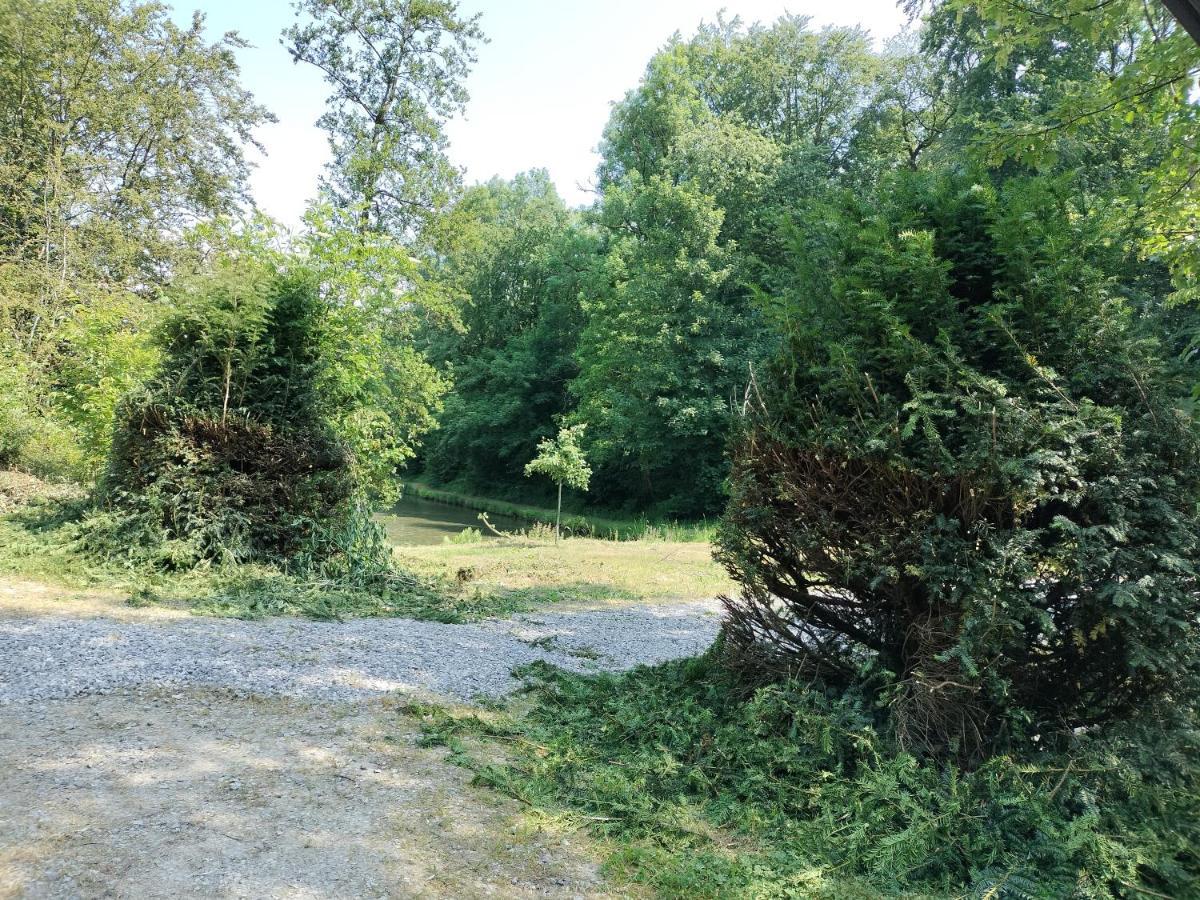 Deux Etangs Poissonneux Au Milieu Des Bois Avec Gite Moderne, La Halte Des Deux Lacs Rosee Exterior photo