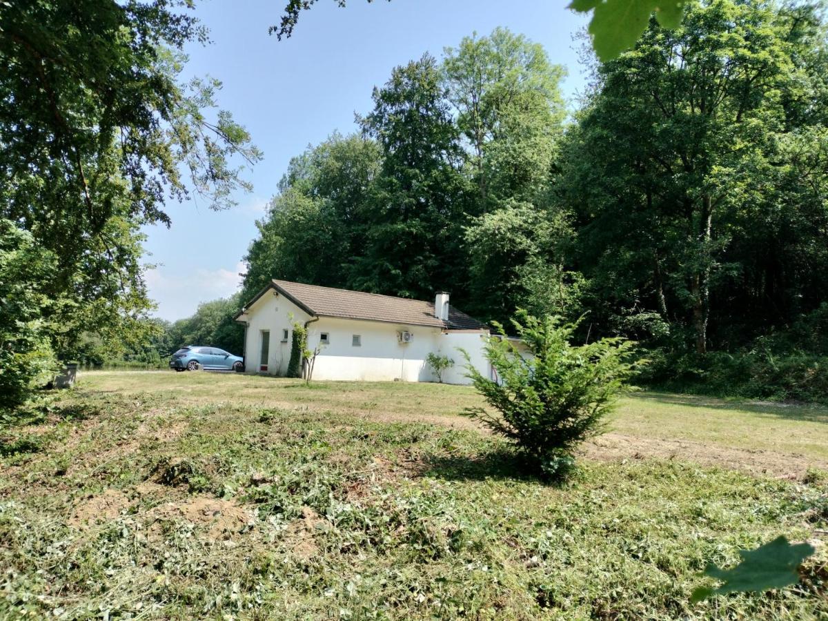 Deux Etangs Poissonneux Au Milieu Des Bois Avec Gite Moderne, La Halte Des Deux Lacs Rosee Exterior photo